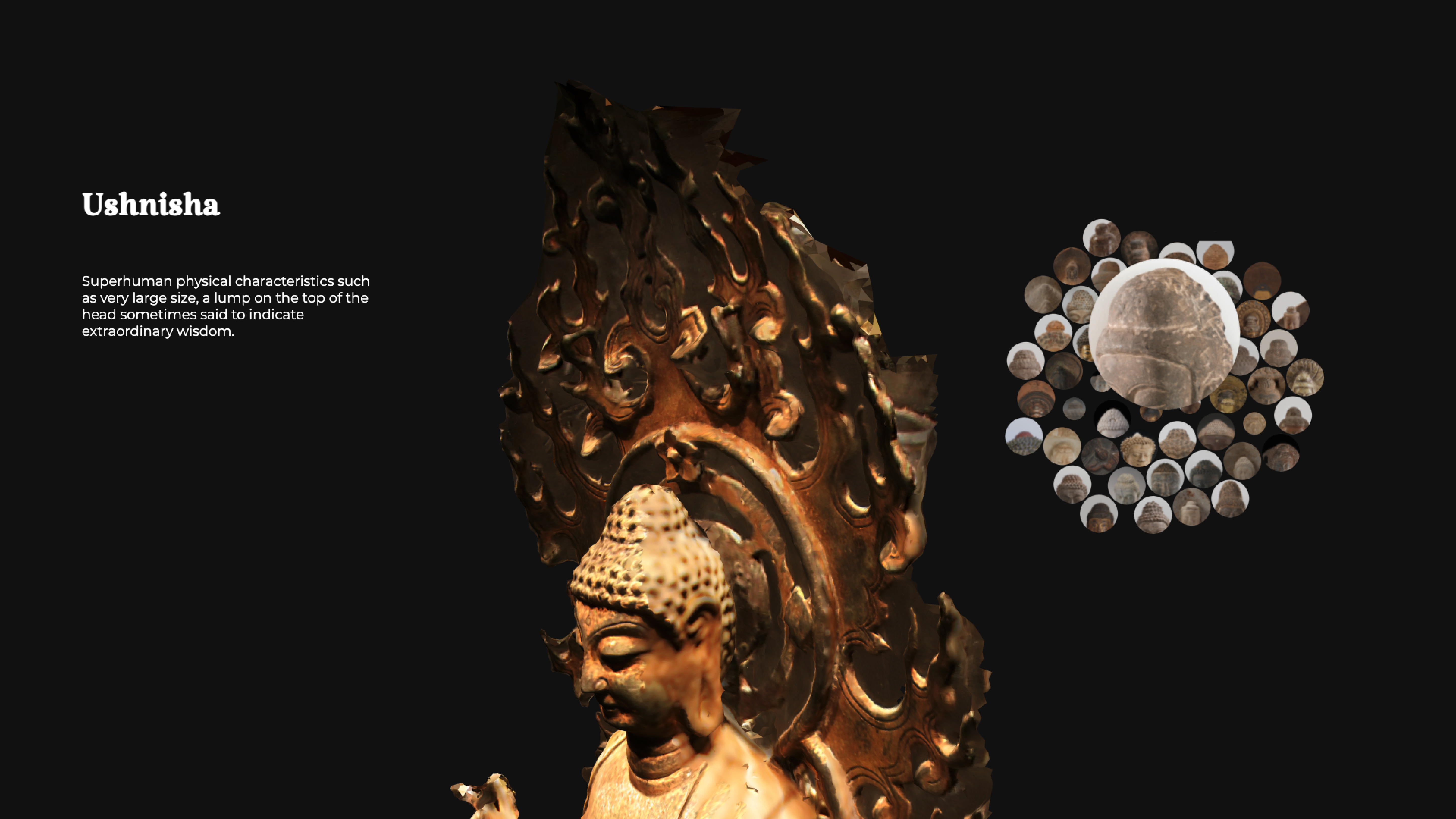 What Makes a Buddha — anatomy detail